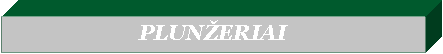 Text Box: PLUNŽERIAI