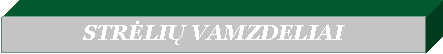 Text Box: STRĖLIŲ VAMZDELIAI