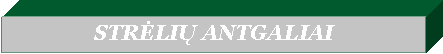 Text Box: STRĖLIŲ ANTGALIAI 