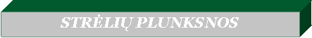 Text Box: STRĖLIŲ PLUNKSNOS