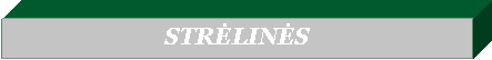 Text Box: STRĖLINĖS
