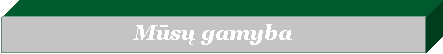 Text Box: Mūsų gamyba