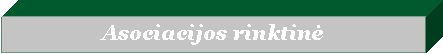 Text Box: Asociacijos rinktinė